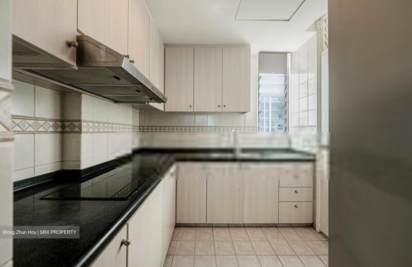 Jervois Lodge (D10), Condominium #507311911